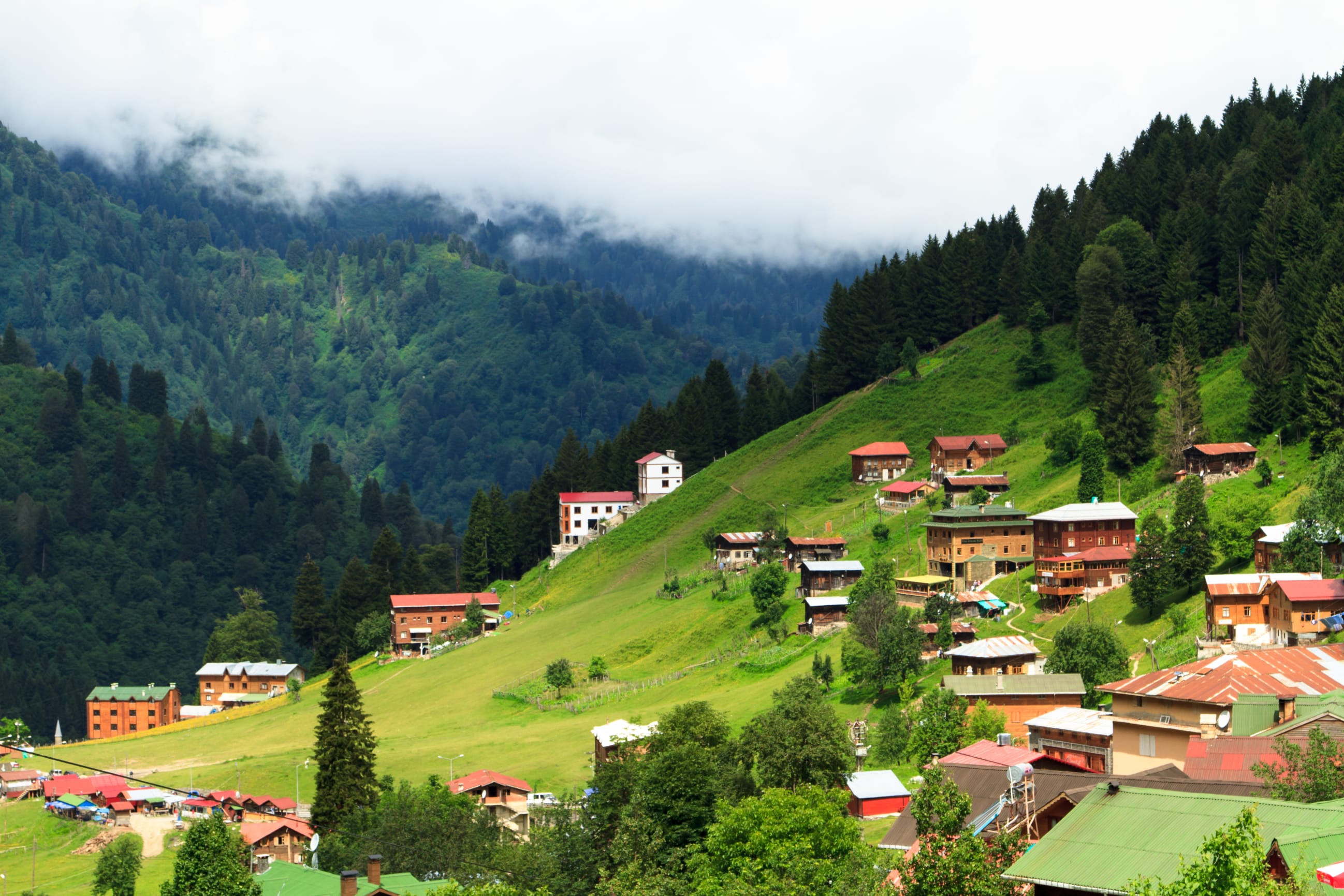 Ayder Yaylası (Kaplıcalar ve Yeşilin Kalbi)