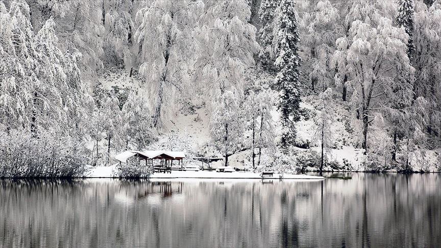 Artvin Gezisi Rehberi – Karlar Altında Bir Doğa Masalı
