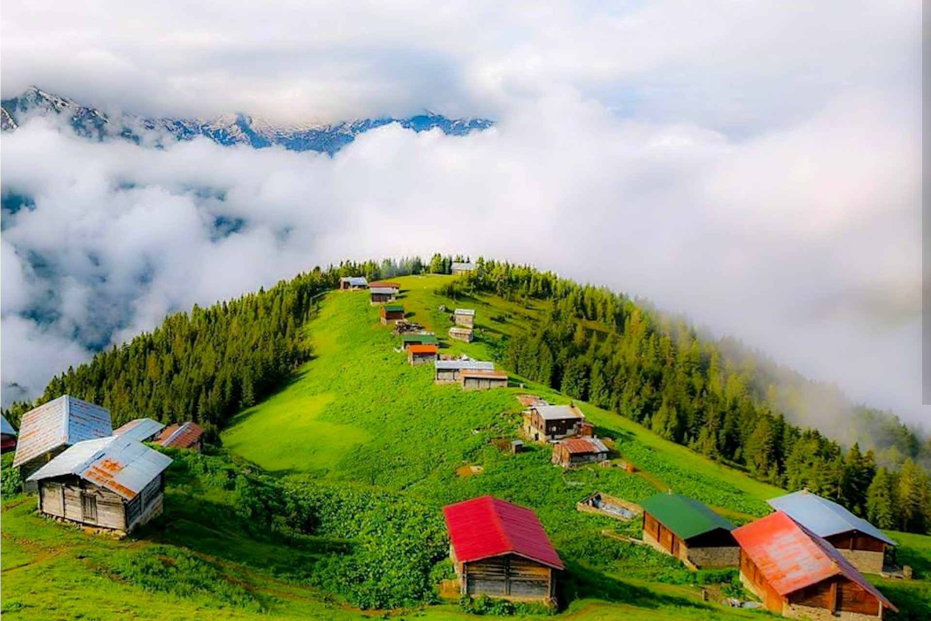 Pokut ve Sal Yaylaları (Bulut Denizi Manzarası)